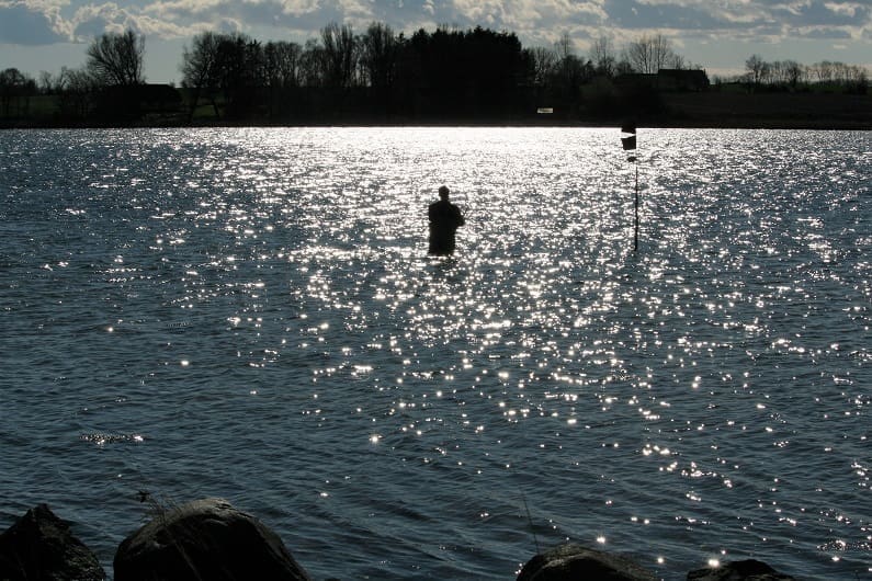 Lystfiskeri i fjorden 